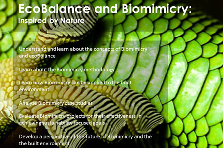 Ecobalance-Biomimicry-product-icon